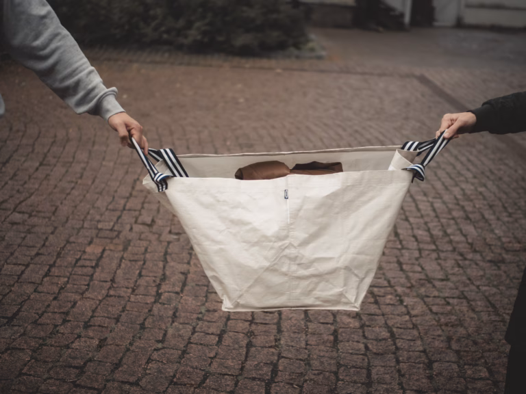 Ostokäyttäytyminen syyniin