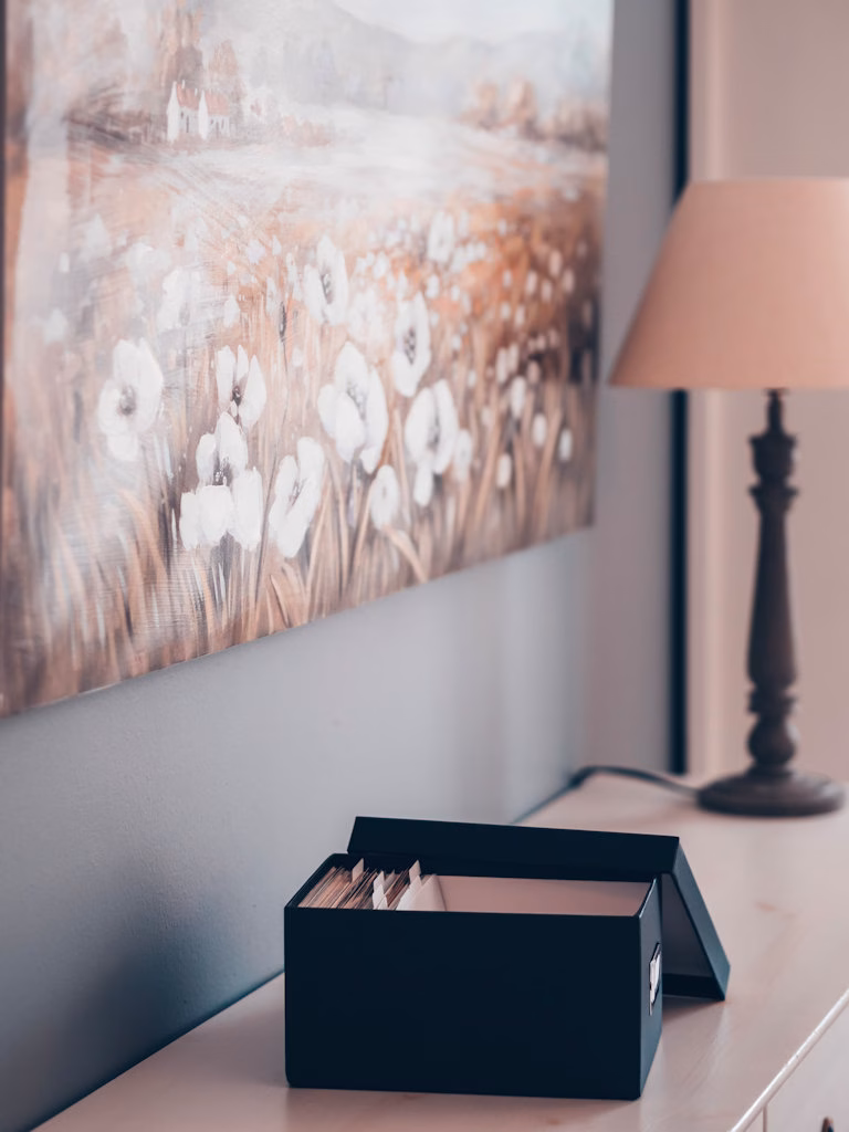 Ammattijärjestäjä