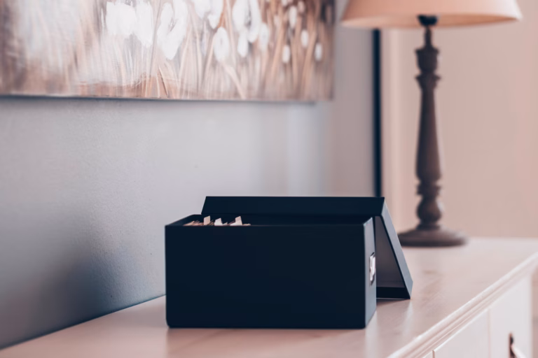 Ammattijärjestäjä