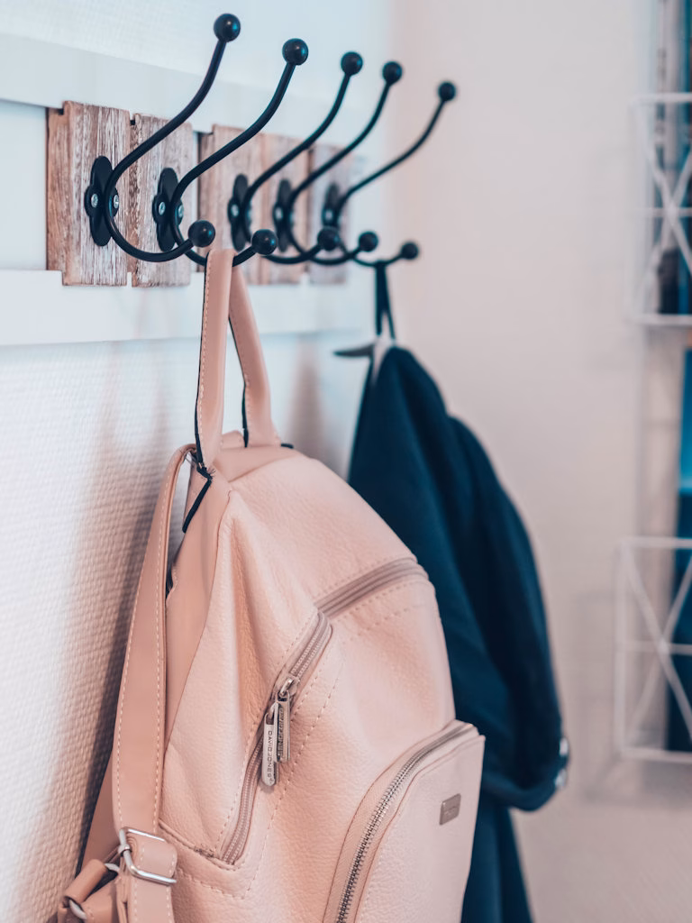 Ammattijärjestäjä