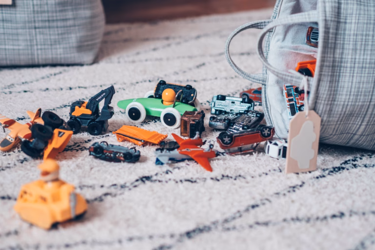 Ammattijärjestäjät