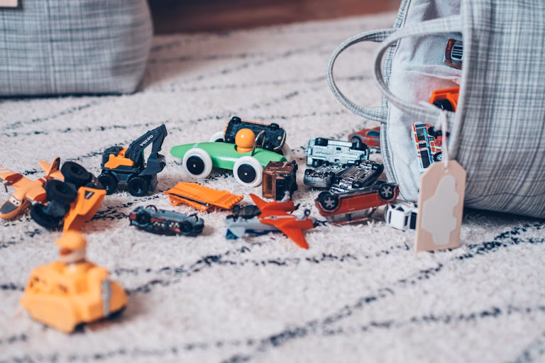 Ammattijärjestäjät