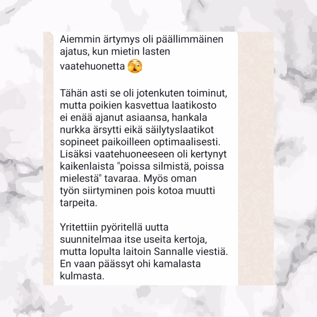 Ammattijärjestäjä kokemuksia etäapu